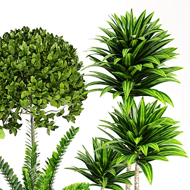 14-Piece Indoor Plant Collection: Variety and Elegance 3D model image 1 