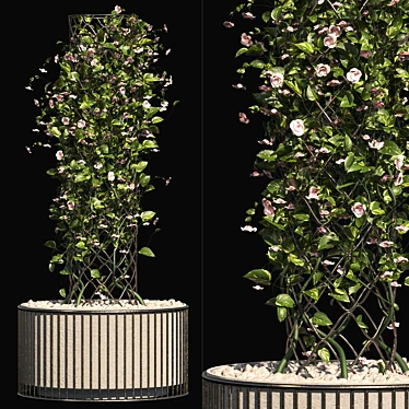 Blossoming Outdoor Plant Set 3D model image 1 