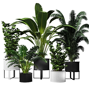 Urban Jungle: Modern Indoor Plant 3D model image 1 