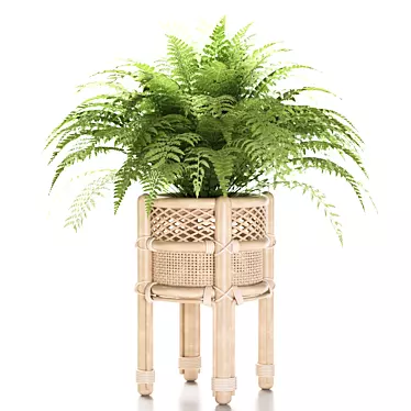 Natural Rattan Fern Pot 3D model image 1 