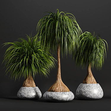 15-Piece Indoor Plant Set 3D model image 1 