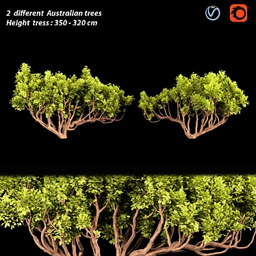 Australian Tree Collection: Vol. 29 3D model image 1 