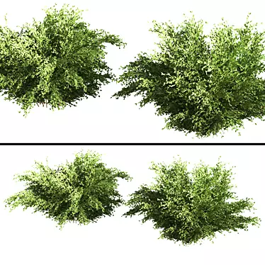 Landscape Bush 01: Versatile, High-Quality Model 3D model image 1 