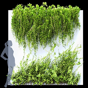 Dazzling Wall Hanging Plants 3D model image 1 