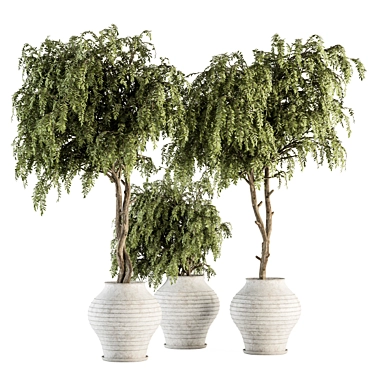 Vintage Pot Plant Set - Outdoor Elegance 3D model image 1 