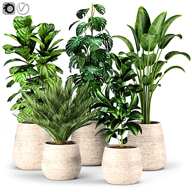 Lush Greenery Collection for Vibrant Interiors 3D model image 1 