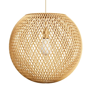 Coastal Rattan Sphere Pendant 3D model image 1 