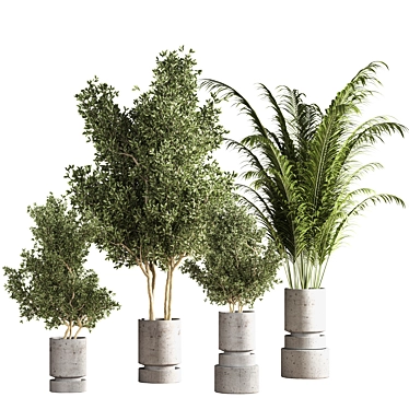 14-Piece Indoor Plant Set 3D model image 1 