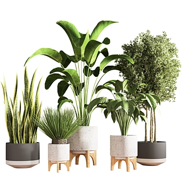  Modern Indoor Plant Stand 3D model image 1 