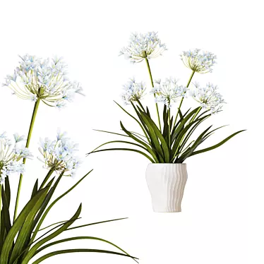 Outdoor Agapanthus Drop-In Plant 3D model image 1 