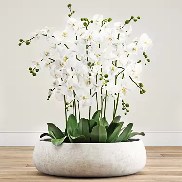 Elegant Orchid Arrangement 3D model image 1 