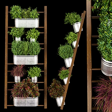 Indoor Hanging Plant Collection 3D model image 1 