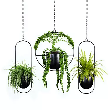 Botanical Bliss: Hanging Indoor Plant Set 3D model image 1 