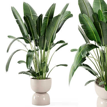 Rustic Concrete Pot Set with Indoor Plants 3D model image 1 