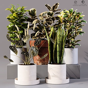 Collaction Indoor Plants 04: High-Quality, Detailed & Versatile 3D model image 1 