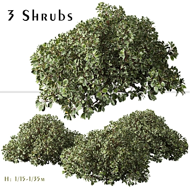 Vibrant Siberian Dogwood Shrub Set 3D model image 1 