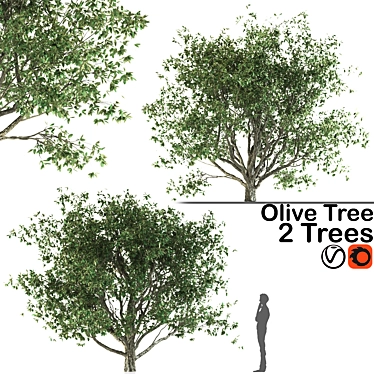 Mediterranean Olive Trees Set 3D model image 1 