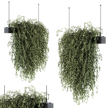 Lush & Lovely: Indoor Hanging Plant Set 3D model image 1 