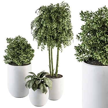 Green Oasis Indoor Plant Set 3D model image 1 