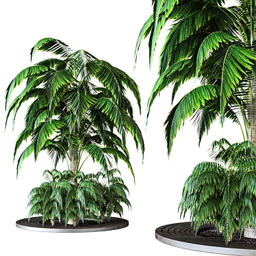 2015 Outdoor Plant Vol 09 3D model image 1 