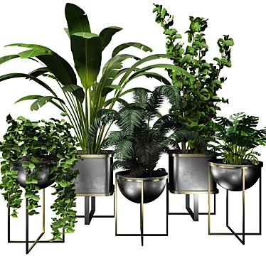 Contemporary Indoor Plant Collection 3D model image 1 