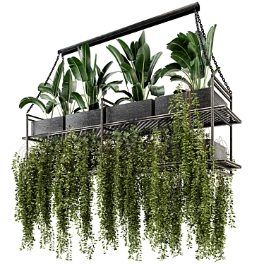 Metal Box Hanging Plants - Set 269 3D model image 1 