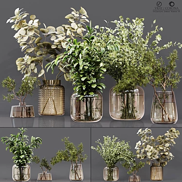 Premium Indoor Plant Collection 3D model image 1 