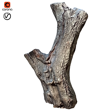 Natural Wood Tree Trunk Décor 3D model image 1 