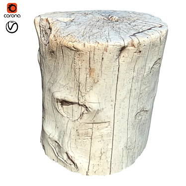 Natural Trunk 20" for 3D Rendering 3D model image 1 