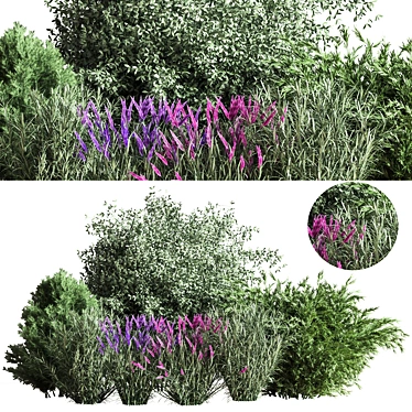 Mixed Plane Bush 03: Versatile 3D Model 3D model image 1 