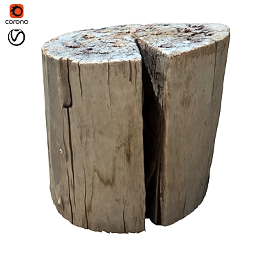 Nature Trunk 21: Realistic Tree Trunk Model 3D model image 1 