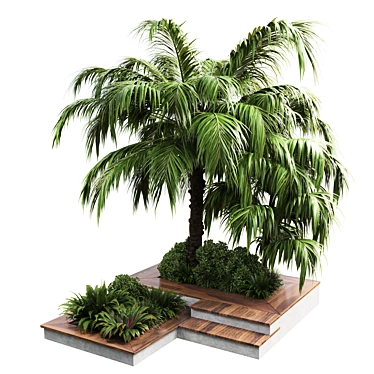 Outdoor Plant Collection: 58 Garden Pot, Tree, Palm, Bush, Fern, Grass, Wood Vase 3D model image 1 