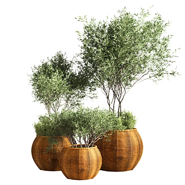 Premium Indoor Plant Set 3D model image 1 