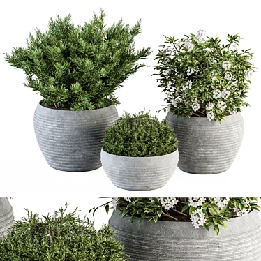 Gray Pot Outdoor Plant Set 3D model image 1 