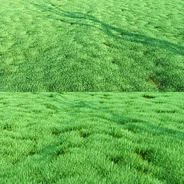 Lush Greenery: High-Quality Grass 3D model image 1 