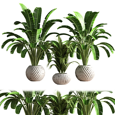 Green Oasis Indoor Plant Set 3D model image 1 