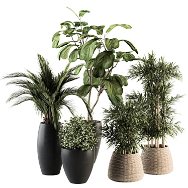 Green Oasis: Indoor Plant Set 3D model image 1 