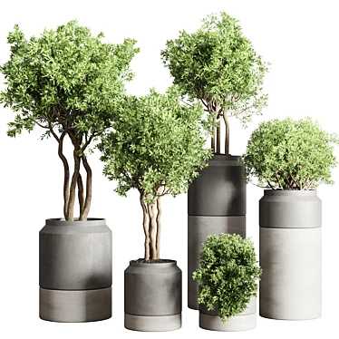 61 Concrete Vase Pot Collection 3D model image 1 
