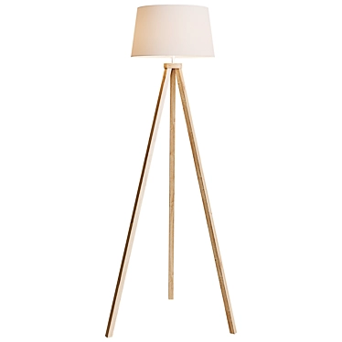 Sleek Tripod Floor Lamp | Latitude Run 3D model image 1 