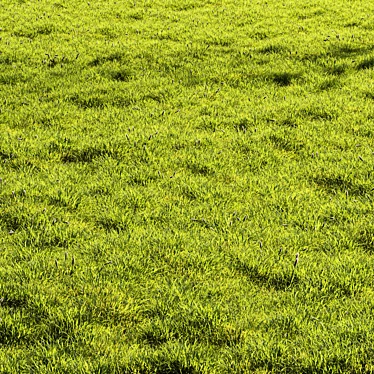 Scenic Meadow Grassland Set 3D model image 1 