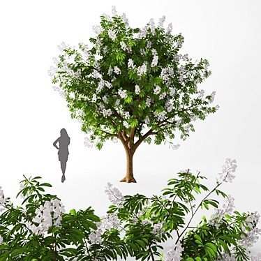 Tall Chestnut Tree (5m) 3D model image 1 