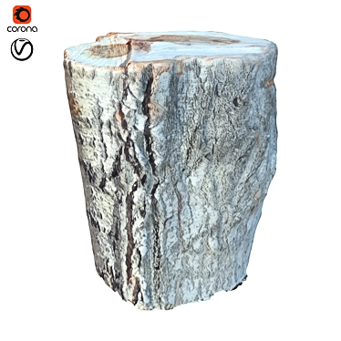 Natural Wood Tree Trunk 28 3D model image 1 