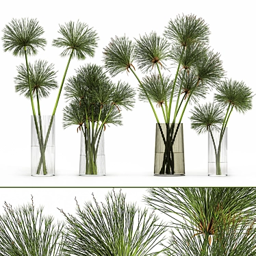 Greenery Delight: Cyperus Papyrus Bouquet 3D model image 1 