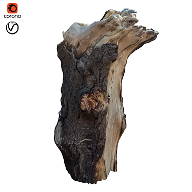 Natural Tree Trunk Decor: Trunk_34 3D model image 1 