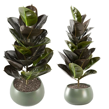 Enchanting Indoor Plants Collection 3D model image 1 