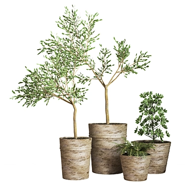 16-Piece Indoor Plant Set 3D model image 1 