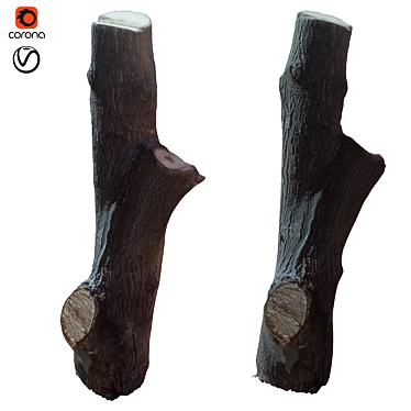 Natural Wooden Tree Trunk 36 3D model image 1 