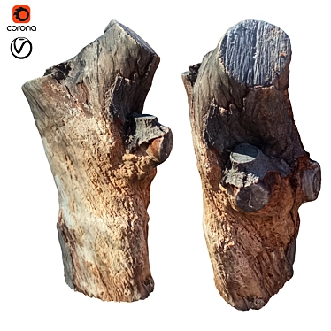 Natural Wood Tree Trunk Sculpture 3D model image 1 