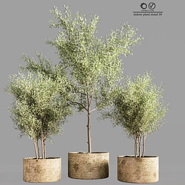 Elegant 30cm Indoor Plant Stand 3D model image 1 