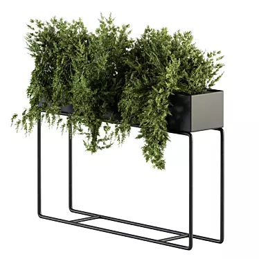 Ultimate Indoor Plant Box Set 3D model image 1 